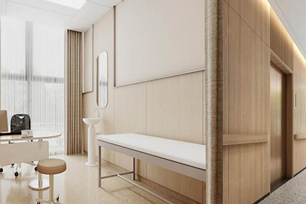 Dezhou Health And Wellness Center Hospital